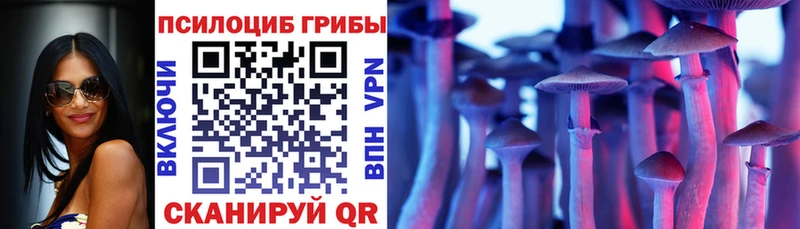 Галлюциногенные грибы Psilocybe  Дыгулыбгей 