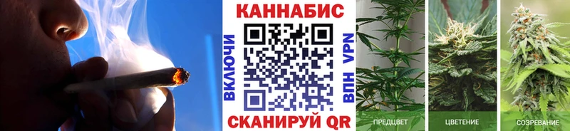 наркота  Дыгулыбгей  Бошки марихуана гибрид 
